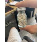 Russia Common Carp Pituitary Gland