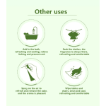 Wind Oil Essence Supplier - Wawang 18ml Peppermint Herbal