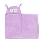 浴巾工厂 - 可定制珊瑚绒超细纤维巾