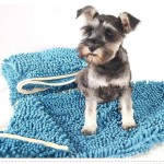 宠物巾生产商 - 可定制刺绣宠物干巾