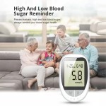 血糖仪生产商 - 可定制糖尿病胆固醇检测仪