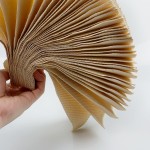 Hand Towel Manufacturer - OEM Multifold N V Fold Bulk