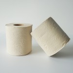 竹浆卫生纸工厂 - 免费样品品牌定制批发