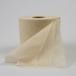 竹浆卫生纸生产厂家 - 300抽3层有机