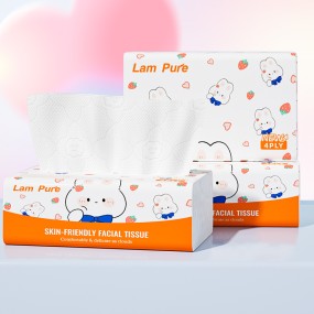Facial Tissue Manufacturer - Wholesale 4 Ply Eco-friendly