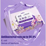 湿厕纸供应商 - 可冲散可降解原生木浆