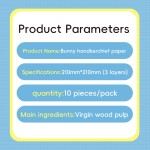 Handkerchief Tissue Supplier - 3ply 21*21 OEM Customized