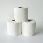 竹浆卫生纸供应商 - 环保水溶性2-3层