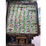 Baby Diaper Pants Manufacturer - Disposable Pull Up Nappies Bulk Wholesale