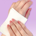 Toilet Paper Manufacturer - Disposable Mini Jumbo Roll Tissue Free Sample Flag