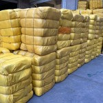 婴儿训练裤厂家 - 一次性有机棉日本SAP批发