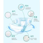 婴儿训练裤厂家 - 一次性透气高吸收表面代工批发