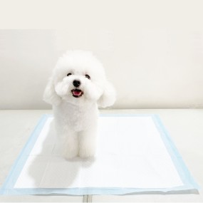 Pet Pads Manufacturer - High Absorbent Disposable Incontinence Leak-proof Training