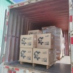 宠物湿巾厂家 - 批发环保代工私模100片清洁湿巾