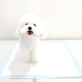 Pet Training Pads Manufacturer - Wholesale Super Absorbent Leak Proof Quick-drying