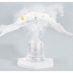 婴儿纸尿裤厂家 - 一次性代工柔感尿裤定制logo