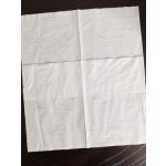 宠物湿巾厂家 - 无泪无酒精除臭清洁垫狗狗用