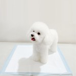 宠物垫厂家 - 高吸收6层可重复使用狗尿垫