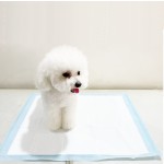 宠物垫厂家 - 多尺寸防水大号夏季自冷凝胶垫