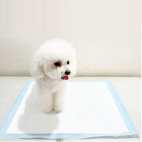 Pet Pads Manufacturer - Different Size Waterproof Large Summer Self Cool Gel Pad