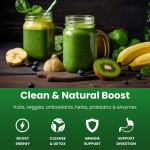 OEM Vegan Herb Extract Super Greens Blend Organic Superfoods Probiotics Powder Energy Drink Enzymes Energy Detox Powder