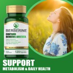 OEM OEM Berberine Hcl Hydrochloride Capsules with Berberis Aristata Supplements Vegan Berberine Capsules Herbal Supplement