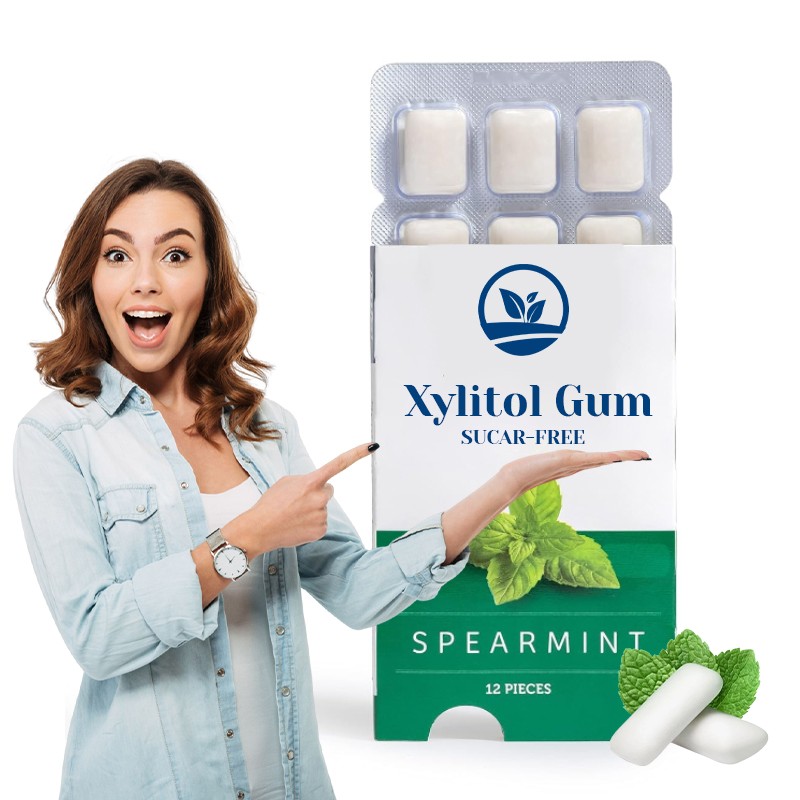 OEM High Energy Mints Vegan Hot Selling Sugar-Free Xylitol Chewing Gum 12 PCS  Mint Flavor Teeth Oral Care Fresh Non-sticky Gum