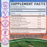 Multi-Benefit Gluten Free Apple Cider Vinegar Gummies 1000mg with B12, Weight Managenebt, Digestion & Energy Booster