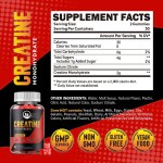 Hot Sale Gummies Creatine Gummies for Muscle Growth and Energy Support for Adult Herbal Supplement