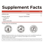 OEM L-Theanine Energy Caffeine Tablets Chewing Gums Support Energy Focus Sugar Free Peppermint Gum Tablets Herbal Supplement