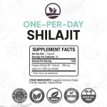 OEM Private Label Natural Pure Fulvic Acid Healthcare Supplement Shilajit Extract Capsules Himalayan Shilajit Capsule