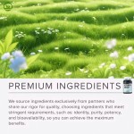 OEM Factory Supply Vegan Celery Seed Softgels Capsules - Urinary Tract Health & Antioxidant Support Supplements