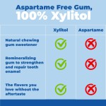 OEM High Energy Mints Vegan Hot Selling Sugar-Free Xylitol Chewing Gum 12 PCS  Mint Flavor Teeth Oral Care Fresh Non-sticky Gum