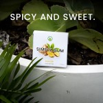 OEM /ODM Private Label Simply Gum Rich in Ginger-Mint Organic Rice Flour |15 Pieces for Adult