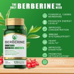 OEM OEM Berberine Hcl Hydrochloride Capsules with Berberis Aristata Supplements Vegan Berberine Capsules Herbal Supplement