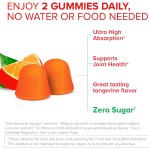 OEM Private Label  Vegan Turmeric Gummies Supplement Digestion Health Support Sugar Free Ginger Turmeric Gummies