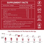 OEM /ODM CoQ10 Soft Capsules Healthy Blood Pressure Antioxidant Softgels Energy Booster for Adult Herbal Supplement