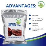 OEM Green Tea Bag Blend for Metabolism & Wellness Support - Herbal Slim Infusion