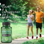 OEM New Arrival Ashwagandha Root Extract Capsules - Natural Anxiety & Sleep Support, Vegan Immune Digestive Support Capsules
