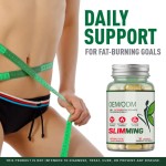 OEM /ODM Private Label Weight Management Slimming Capsules Fat Burner Pills Adults Use Herbal Supplement