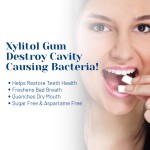 OEM High Energy Mints Vegan Hot Selling Sugar-Free Xylitol Chewing Gum 12 PCS  Mint Flavor Teeth Oral Care Fresh Non-sticky Gum