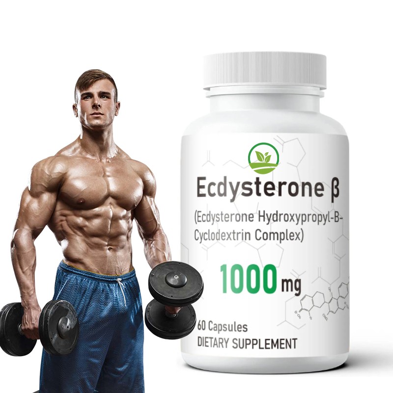 OEM Manufactory Ecdysterone Beta Capsules for Body Builders  Workout Vegan Capsules for Adult Fitness Herbal Supplement