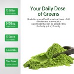 OEM Vegan Herb Extract Super Greens Blend Organic Superfoods Probiotics Powder Energy Drink Enzymes Energy Detox Powder