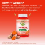 OEM Private Label  Vegan Turmeric Gummies Supplement Digestion Health Support Sugar Free Ginger Turmeric Gummies