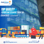 Adult Diapers Manufacturer - Wholesale Disposable High Absorb Japanese SAP Turkey