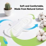 卫生巾工厂 - 定制棉柔日常吸收少女