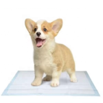 宠物垫厂家 - 防水6层吸收防漏一次性