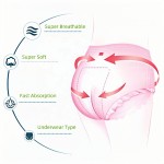 经期裤厂家 - 可降解私模夜用经期内裤