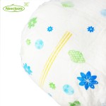 婴儿训练裤厂家 - 供应批发价训练拉拉裤