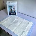 宠物训练垫工厂 - 2025新款OEM超吸水尿垫